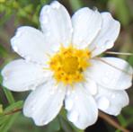 Gallery Dapacu Photography